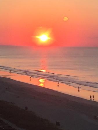 Papa's Steaks Ribs & Creative